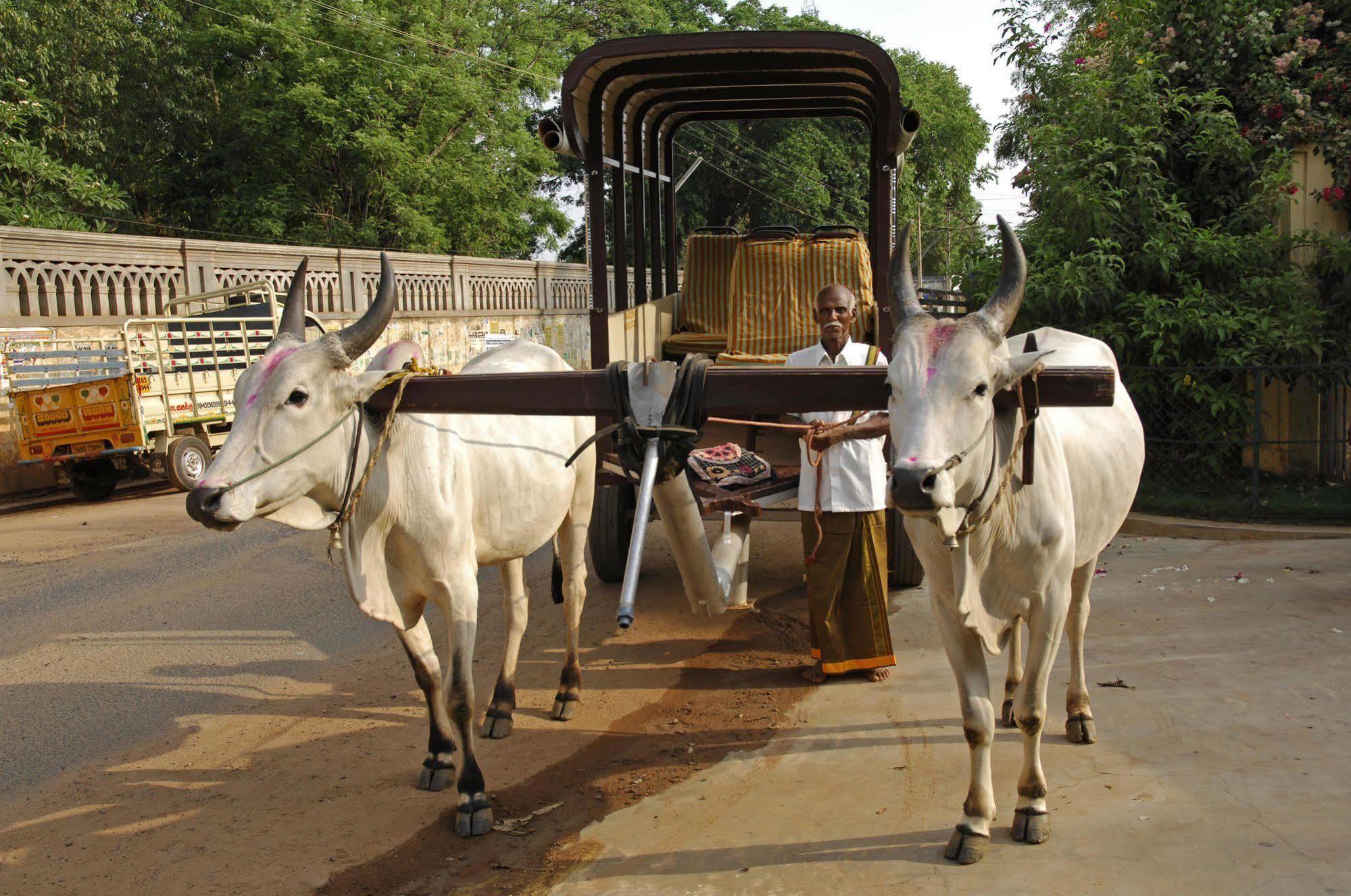 Visalam Chettinad Palace - A Cgh Earth Experience Kānādukāttān Esterno foto